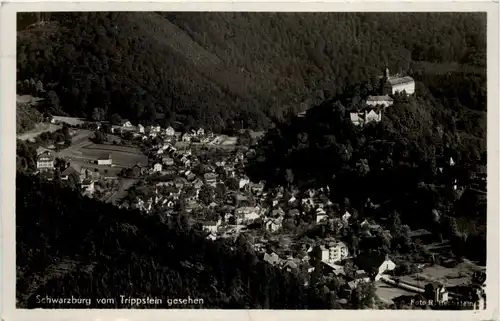 Schwarzburg i. Thür. vom Trippstein -525220