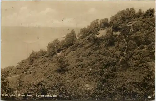 Ostseebad Rauschen - Venusschlucht -629192