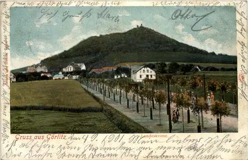 Görlitz - Landeskrone -629364