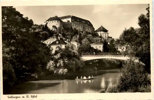 Tübingen, Schloss -518708