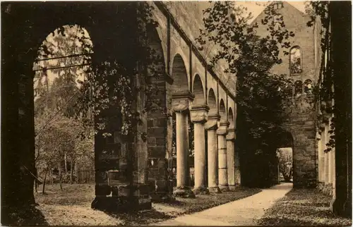 Paulinzella i. Thür., Ruine des Kirchenschiffes -519148