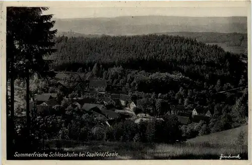 Sommerfrische Schlosskulm bei Saalfeld -519208