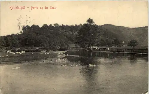 Rudolstadt, Partie an der Saale -519248
