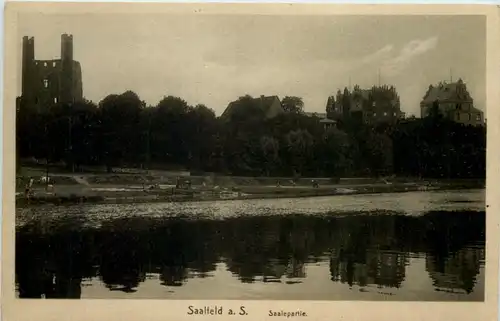 Saalfeld/Saale, Saalepartie -519448