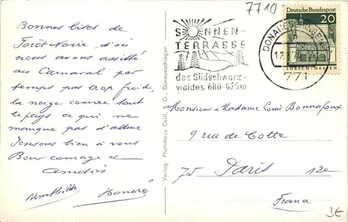 Donaueschingen, div. Bilder -519868