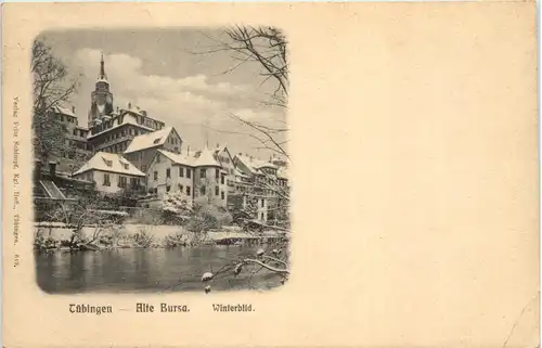 Tübingen, Alte Bursa - Winterbild -519968