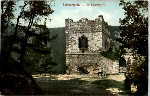 Schwarzatal, Der Eberstein -520308