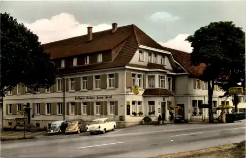 Donaueschingen, Gasthaus Hotel Grüner Baum -520868