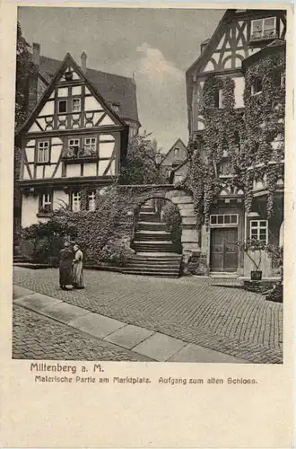 Miltenberg am Main, Partie am Marktplatz, Aufgang zum alten Schloss -530748