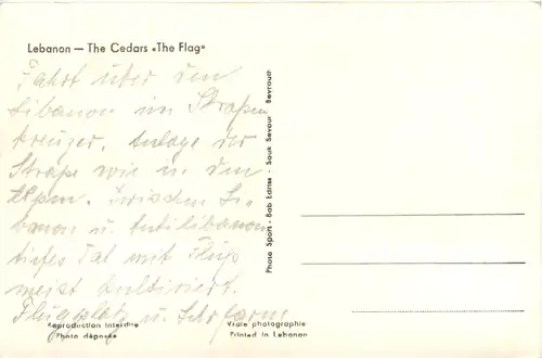 Liban - Les cedres -630158