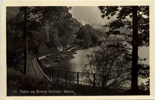 Partie am Seeweg Sachseln Sarnen -630418