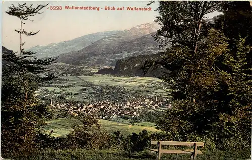 Wallenstadtberg - Blick auf Wallenstadt -639746