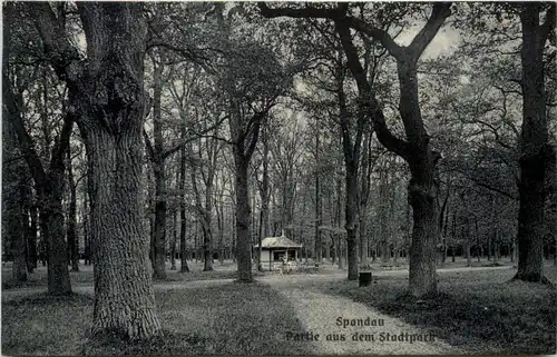 Spandau - Partie aus dem Stadtpark -634452