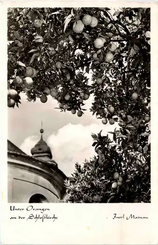 Mainau - bei Konstanz, Unter Orangen an der Schlosskirche -521564