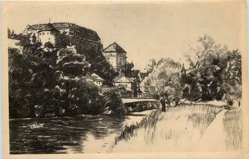 Tübingen, das Schloss -523184