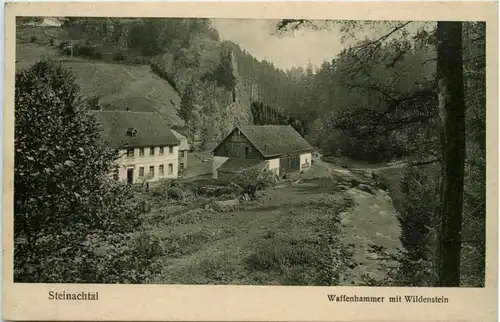 Steinachtal - Waffenhammer mit Wildenstein Presseck -637838