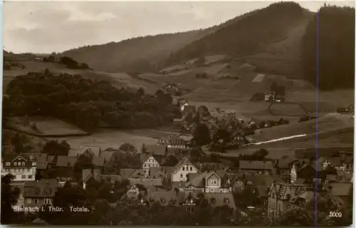 Steinach/Thür. Wald, Totale -524842