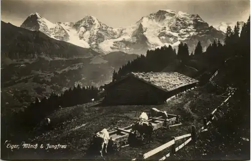 Eiger Mönch Jungfrau -638714