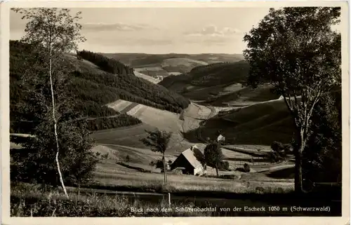 Blick nach dem Schützenbachtal von der Escheck Schwarzwald -530010