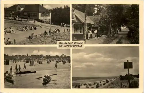 Seebad Prerow am Darsser Urwald, div. Bilder -531450