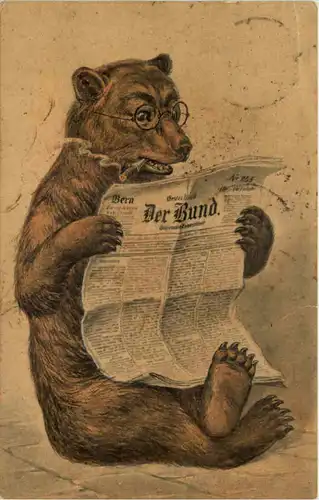 Bern - Bär mit Zeitung -638928