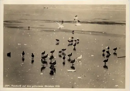 Zürich - Seegefrörne 1929 -639508