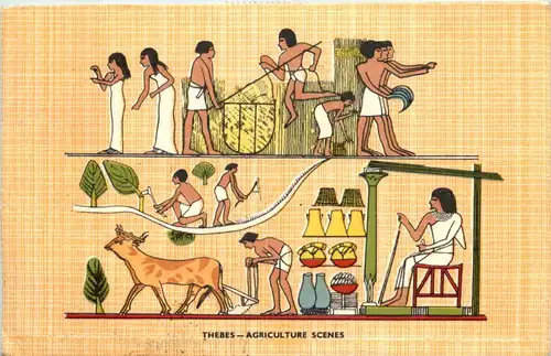 Thebes - Agriculture Scenes - Egypt -641128