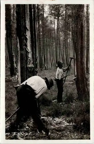 Landes - Holzfäller -643270