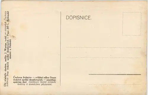 Cechova Kvetnice -643466