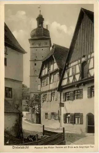 Dinkelsbühl, Museum des histor. Vereins mit Blick aufs Segringer Tor -530742