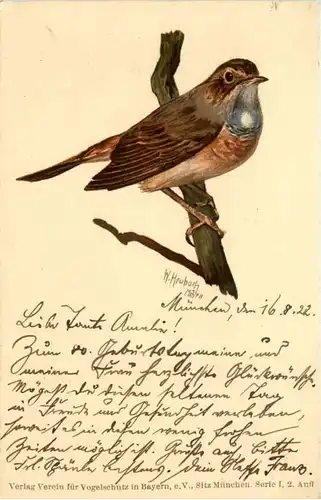 Vogel - Blaukehlchen -644104
