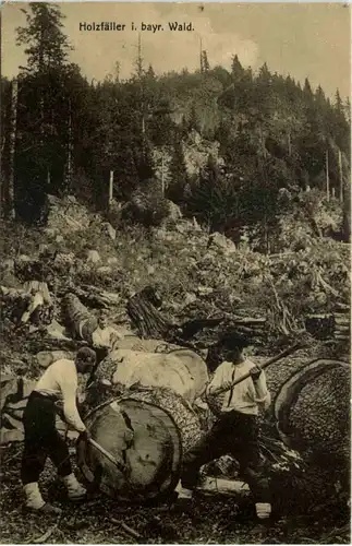 Holzfäller in bayr. Wald -644192