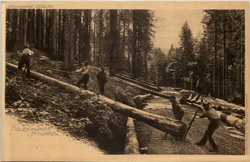 Holzschläger im Schwarzwald -644190