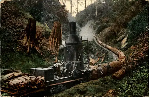 A Logging Scene -644302