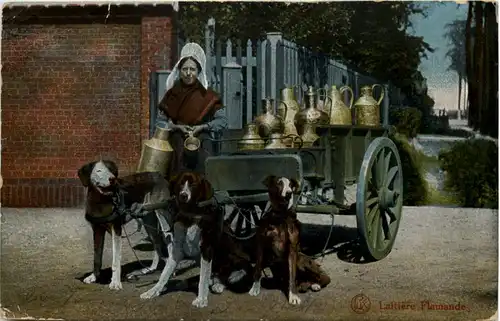 Laitiere Flamande - Hundekutsche - Feldpost Schonungskomp. R. Res -644340
