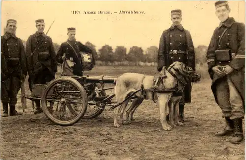 Armee Belge - Mitrailleuse - Hunde -644358