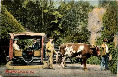 Madeira - Carro de bois -644356