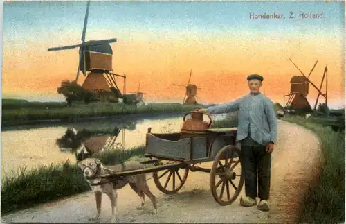 Hondenkar . Zuid Holland -644354