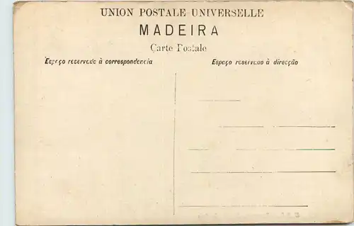 Madeira - Corca de Bois -644410