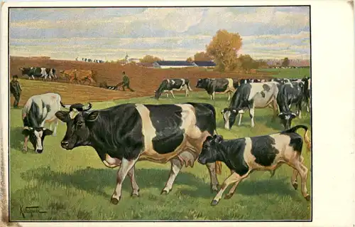 Kühe - Künstler AK K Wagner -645066
