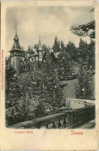 Sinaia - Castelul Peles - Reliefkarte -645060