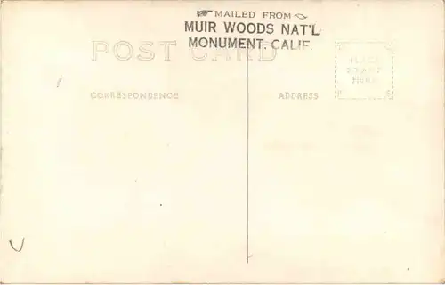 Muir Woods - National Monument California -645332