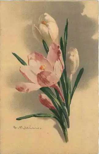 Künstler AK - Catharina Klein -645528