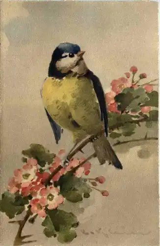 Künstler AK - Catharina Klein -645530