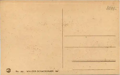 Künstler AK Walter Schachinger -645880