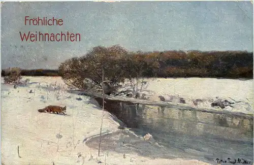 Fuchs - Fox - Weihnachten -646294