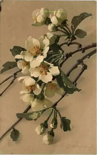 Künstler AK Catharina Klein -646706