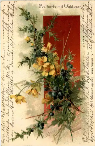 Blumen - Postkarte mit Waldozon - Duftkarte -646856
