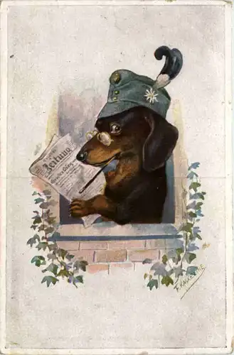 Humor- Dackel mit Zeitung -647294