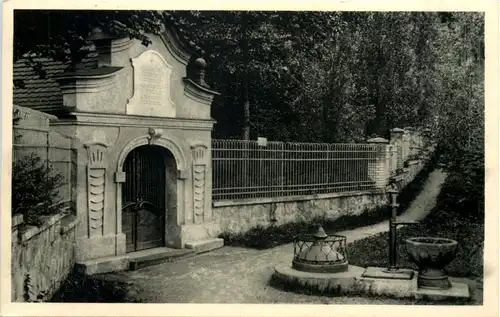 Sazava n Saz - Studanka -647738